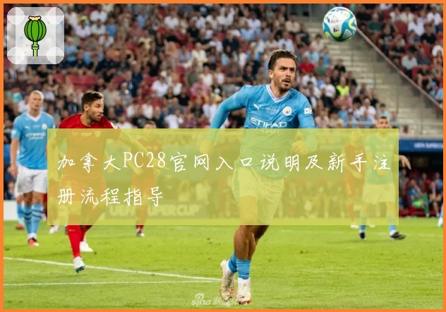 加拿大PC28官网入口说明及新手注册流程指导