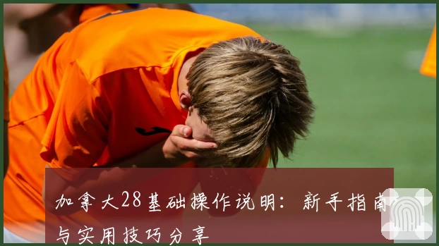 加拿大28基础操作说明：新手指南与实用技巧分享