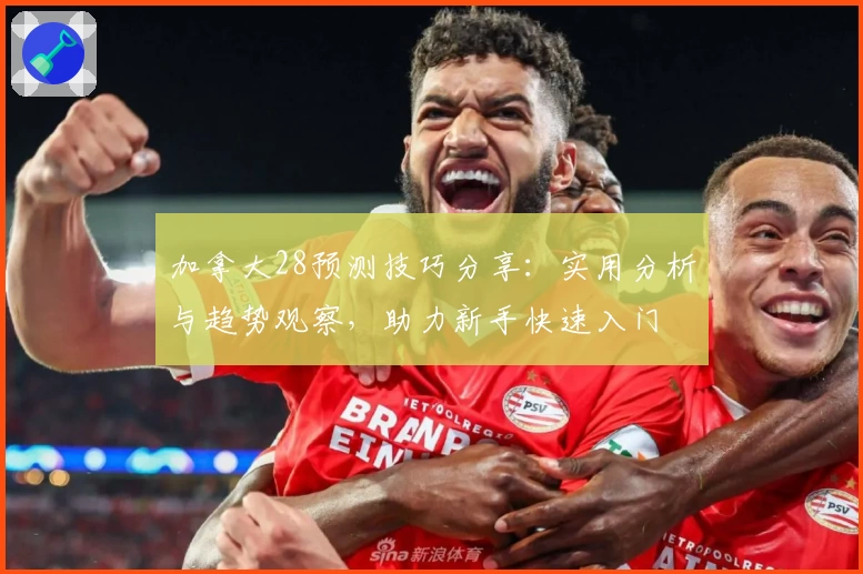 加拿大28预测技巧分享：实用分析与趋势观察，助力新手快速入门