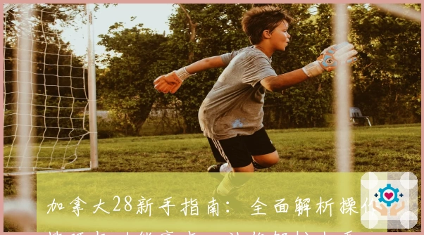 加拿大28新手指南：全面解析操作技巧与功能亮点，让你轻松上手