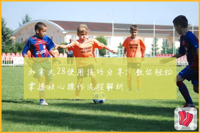 加拿大28使用技巧分享：教你轻松掌握核心操作流程解析