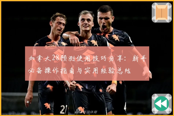 加拿大28预测使用技巧分享：新手必备操作指南与实用经验总结