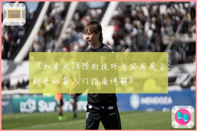 《加拿大28预测技巧与实用展示：新手必备入门指南详解》