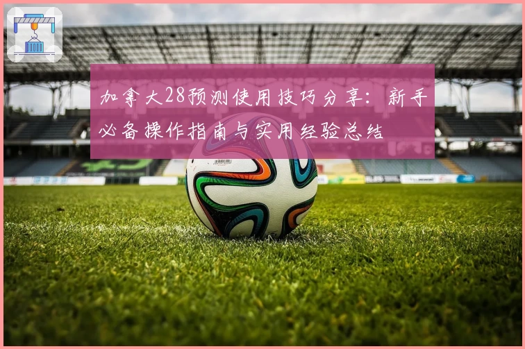 加拿大28预测使用技巧分享：新手必备操作指南与实用经验总结