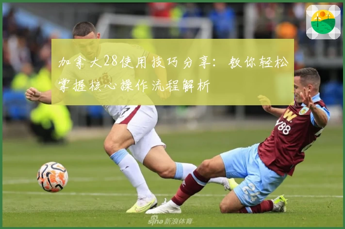 加拿大28使用技巧分享：教你轻松掌握核心操作流程解析