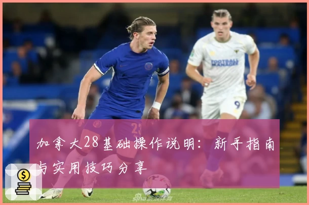 加拿大28基础操作说明：新手指南与实用技巧分享