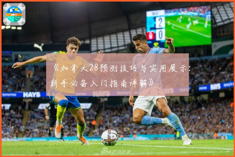 《加拿大28预测技巧与实用展示：新手必备入门指南详解》