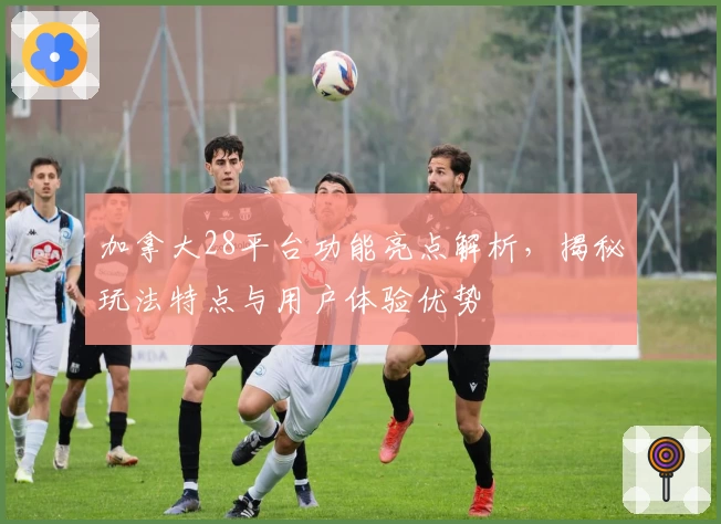 加拿大28平台功能亮点解析，揭秘玩法特点与用户体验优势